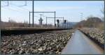 Der weite Blick hinein auf den Güterbahnhof von Montzen in Belgien.