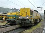 Am Tag der offenen Tr im Dpot Kinkempois standen die Dieselloks 5540 und 7764 nebeneinander.