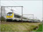 Der IC A Eupen-Oostende rast am 10.04.09 durch die idyllische Landschaft Ostflanderns in der Nhe von Hansbeke.