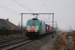 Cobra 2809 mit Container aus Zeebrgge kommend vor Bf Lissewege am 14.02.2013