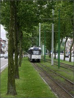 . Inmitten der Allee -

Straßenbahntrasse zwischen Bäumen im Grotesteenweg im Süden von Antwerpen. Der PCC-Wagen auf der Linie 7 wird gleich die Haltestelle Koninklijkelaan erreichen.

20.06.2016 (M)
