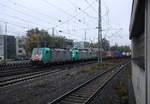 Zwei Cobra 2831 und 2824  kommen mit einem Containerzug aus Zeebrugge(B) nach Gallarate(I)  und fahren in Aachen-West ein.
Aufgenommen vom Bahnsteig in Aachen-West. 
Bei Regenwetter am Nachmittag vom 11.11.2017.