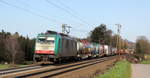 Die Cobra 2839 kommt aus Richtung Aachen-West und fährt die Gemmenicher-Rampe hochgefahren mit einem langen Containerzug aus Gallarate(I) nach Antwerpen-Oorderen(B) und fährt in Richtung Montzen/Belgien. 
Aufgenommen an der Montzenroute am Gemmenicher-Weg.
Bei schönem Frühlingswetter am Nachmittag vom 24.3.2019.