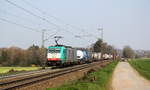 Die Cobra 2842 kommt aus Richtung Aachen-West und fährt die Gemmenicher-Rampe hochgefahren mit einem langen Containerzug aus Gallarate(I) nach Antwerpen-Oorderen(B) und fährt in Richtung