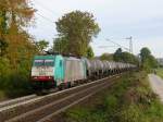 Mit einem relativ kurzen Kesselwagenzug fhrt Cobra-Lok 2824 (186 216) die Steigung am Gemmenicher Weg hoch in Richtung Belgien.