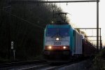 Die Cobra 2820 kommt mit einem Autozug aus Richtung  Vise und fhrt  nach Aachen-West.
Aufgenommen an der Steigung von Berneau(B).
19.11.2011