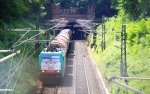 Die Cobra 2834 kommt aus dem Gemmenicher-Tunnel aus Belgien mit einem langen gemischten Gterzug aus Antwerpen-Noord(B) nach Kln-Gremberg und rollt die Gemmenicher-Rampe herunter nach Aachen-West.