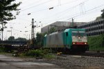 Die Cobra 2811 kommt aus Richtung Montzen/Belgien mit einem langen gemischten Gterzug aus Antwerpen-Noord(B) nach Kln-Gremberg und fhrt in Aachen-West ein bei Sommerregen am 24.8.2013.