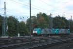 Zwei Cobra 2814 und 2823 kommen als Lokzug aus Belgien und fahren in Aachen-West ein.
Aufgenommen vom Bahnsteig in Aachen-West in der Abendstimmung am Abend vom 18.10.2013.