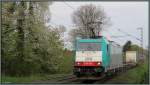 Fliederduft liegt in der Luft am Gemmenicher Weg bei Aachen.
Eine belgische Cobra (E-186) ist gerade mit einen Containerzug unterwegs nach
Antwerpen.Bildlich festgehalten Anfang April 2014 an der Montzenroute.