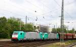 Zwei Cobra 2824 und 2841 kommen mit einem langen Kalkzug aus Yves-Gomezée(B) nach Millingen und fahren in Aachen-West ein.