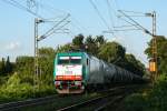 Am frühen Abend des 28/08/2009 zog Cobra-Lok 2826 (186 218) von Aachen-West kommend einen Kesselwagenzug die Rampe am Gemmenicher Weg hinauf gen Belgien.