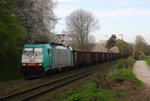 Die Cobra 2816 kommt aus Richtung Aachen-West und fährt die Gemmenicher-Rampe hoch mit einem Kurzen Schrottzug aus Italien nach Genk(B). Aufgenommen an der Montzenroute am Gemmenicher-Weg.
Bei Sonne und Wolken am Nachmittag vom 21.4.2016.