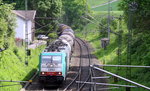 Die Cobra 2840  kommt die Gemmenicher-Rampe hochgefahren aus Aachen-West mit einem Kurzen Ölleerzug aus Basel-SBB(CH) nach Antwerpen-Petrol(B)  und fährt gleich in den Gemmenicher-Tunnel hinein und fährt in Richtung Montzen/Vise(B). 
Aufgenommen in Reinartzkehl an der Montzenroute.
Bei schönem Sonnenschein am Vormittag vom 27.5.2016.