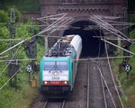 Zwei Cobra 2808 und 2836 kommen mit einem schweren Kalkzug aus Yves-Gomezee(B) nach Millingen-Solvay(D) aus dem Gemmenicher Tunnel raus und fahren die Gemmenicher-Rampe hinunter nach Aachen-West. 
Aufgenommen bei Reinartzkehl an der Montzenroute. 
Am Nachmittag vom 4.7.2016. 