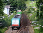 2901 von Alpha Trains kommt die Gemmenicher-Rampe hochgefahren aus Aachen-West mit einem Containerzug aus Gallarate(I) nach Zeebrugge(B) und fährt gleich in den Gemmenicher-Tunnel hinein und fährt in Richtung Montzen/Vise(B). 
Aufgenommen in Reinartzkehl an der Montzenroute. 
Bei Sommerwetter am Nachmittag vom 7.7.2016.