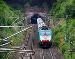 Die Cobra 2831  kommt aus dem Gemmenicher-Tunnel raus mit einem Kesselzug aus Antwerpen(B) nach Millingen(D) und fährt nach Aachen-West und rollt die Gemmenicher-Rampe herunter nach Aachen-West. 
Aufgenommen in Reinartzkehl auf der Montzenroute.
Am Nachmittag vom 8.8.2016.