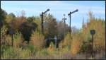 Auch in Raeren (B) an der ehmaligen Vennbahntrasse hat der Herbst Einzug gehalten und verleiht der Natur schöne Grün und Brauntöne.