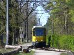 Stra�enbahnlinie 61 nach S-Bahnhof Adlershof an der Haltestelle Rahnsdorf Waldsch�nke.(25.4.2010) ...