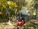 Dampflok Luise der Parkeisenbahn ...  Thomas Wendt 07.11.2010