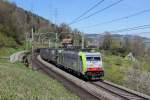 BLS Cargo (159 Photos)