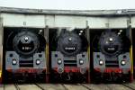 BR 01 5 Ein seltener Anblick und doch noch nicht so lange her.
01 531,01509 und 01519 in Arnstadt am 14.02.2004.