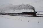 BR 01 Dann war es endlich so weit. Kurz vor Einbruch der Dunkelheit, nach fast vier Stunden Wartezeit und einigen Testfotos erschien die Pacific 01 202. Das Bild entstand dam 13.2.10 in Romont. Ob sich die Testbilder gelohnt haben m�sst ihr entscheiden.
