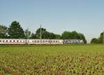 BR 101 Werbelokomotiven ###Die Werbelok des Wochendes in Mangolding###
Dieses Wochende hing 101 102 am IC 2024. In k�rze wird er Regensburg Hbf erreichen und nach einem kurzen Halt um 07:45 weiter fahren. 

(Mangolding, 04.06.2010)