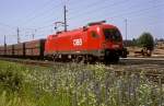 1016 001  Stra�walchen ...  Werner Brutzer 07.03.2010