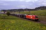 1016 007 bei K�stendorf 05.05.08  ...