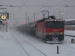 1044-057 am 11.02.2010 in Passau   ...