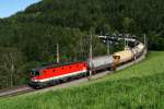 br-1044 27.7.08 Der Schwammerlzug Teil 1. Beinahe t�glich f�hrt der mit Kaolin beladene Ganzzug von Koper �ber Spielfeld Strass, Marchegg und Bratislava nach �iar nad Hronom (Heiligenkreuz) und zur�ck. Die 1044 015 bespannte den GAG 49600 (Spielfeld Strass - Marchegg) bis Wien Zvbf. Aufgenommen wurde das Gespann auf der Apfelwiese bei Eichberg.