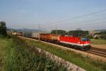 15.8.09 1044 126 am DG 54083 von Wels nach Wien ...