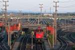 BR 1064 (13 Fotos)