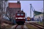 Ein seltener Gast in ...  J�rg Trutwig 30.03.2010