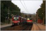 Die  Railjet  1116 220 ...  Stephan Kainberger 23.09.2011