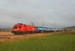 K�brunner R�benzug mit 1116 074 Richtung Westen, am 14.11.2009 kurz ...
