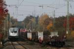 br-1116-vor-guterzugen Mein erster Werbeochse: 1116 038-9 'Siemens' mit einem leeren Autozug in Dettelbach 31.10.09