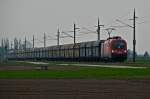 1116 275 Max mit einem G�terganzzug (LGAG 47010) Richtung Wien. ...