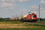 br-1116-vor-guterzugen 27.7.08 Der Schwammerlzug Teil 2. Beinahe t�glich f�hrt der mit Kaolin beladene Ganzzug von Koper �ber Spielfeld Strass, Marchegg und Bratislava nach �iar nad Hronom (Heiligenkreuz) und zur�ck. Hier f�hrt der Leerzug gerade zur�ck nach Koper. Die 1116 198 bespannte den LGAG 49603 (Marchegg - Spielfeld Strass) ab Wien Zvbf und konnte bei Mitterndorf Moosbrunn abgelichtet werden.