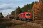 1116 268 mit einem ...  Dennis Kraus 11.11.2010