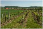 �BB 1116 mit Gz ...  Gerhard H�rhan 14.05.2011