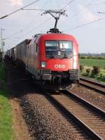 Neuss (34 Fotos)