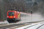 Im Wienerwald hat der ...  Gerhard Zant 18.12.2009
