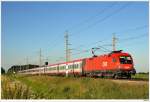 1116.157 mit OIC646 von Wien nach Salzburg; hier bei Oftering; ...