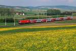 br-1116-vor-personenzugen 1116 026 mit R 2026 bei Sch�nfeld (11.05.2010)
