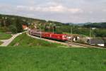 br-1116-vor-personenzugen 1x16-DT mit OEC 568 in D�rrwien (11.05.2010)