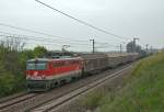 1142 688 mit einem G�terzug Richtung Osten. Gramatneusiedl, am 24.04.2010. ...