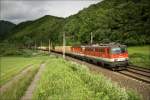 1142 642 & 1144 075 fahren mit einem gemischten G�terzug ...