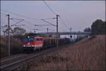 Die 1142 ...  Tobias Moser 06.11.2011